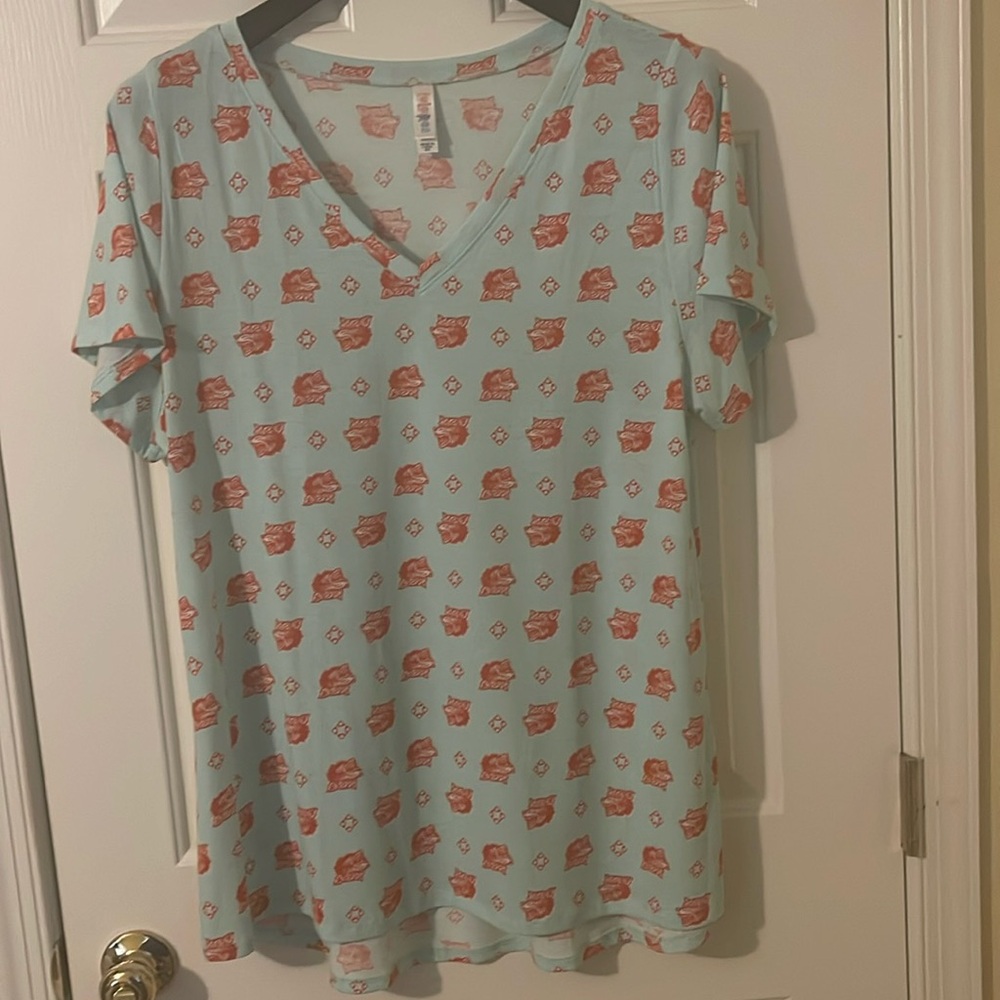 Mint Green Wolf LuLaRoe Christy V-Neck T Size 2XL